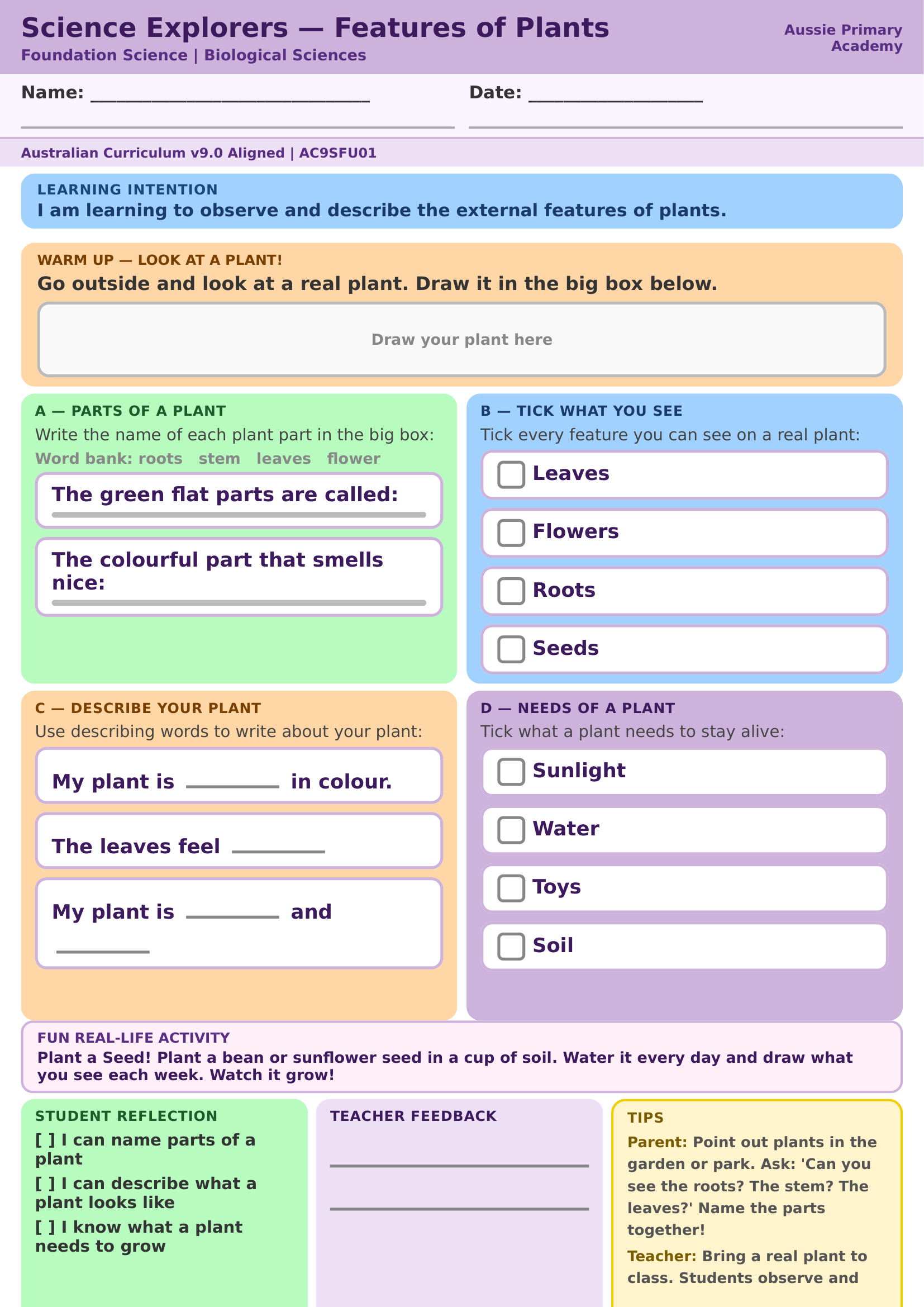 Foundation Science Features Of Plants Ac9Sfu01 Colour worksheet preview