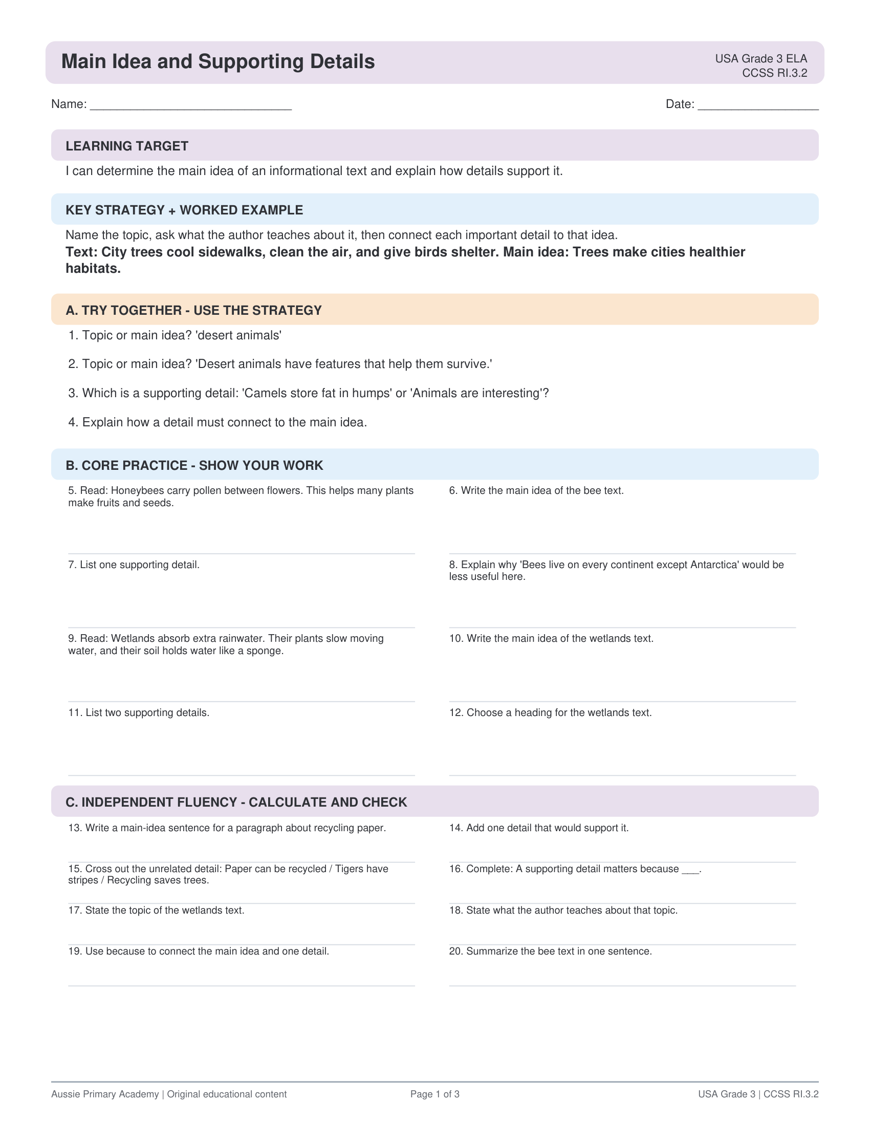 Main Idea Supporting Details worksheet preview