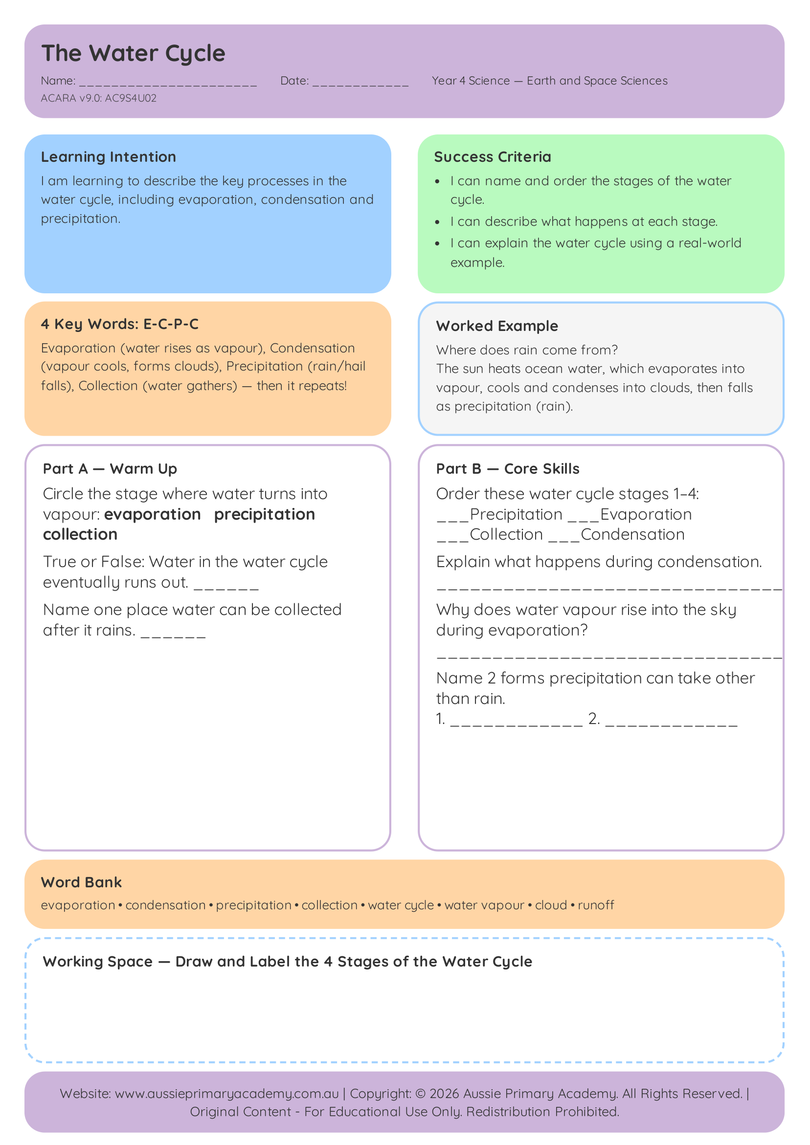 The Water Cycle Pdf Colour With Answers worksheet preview