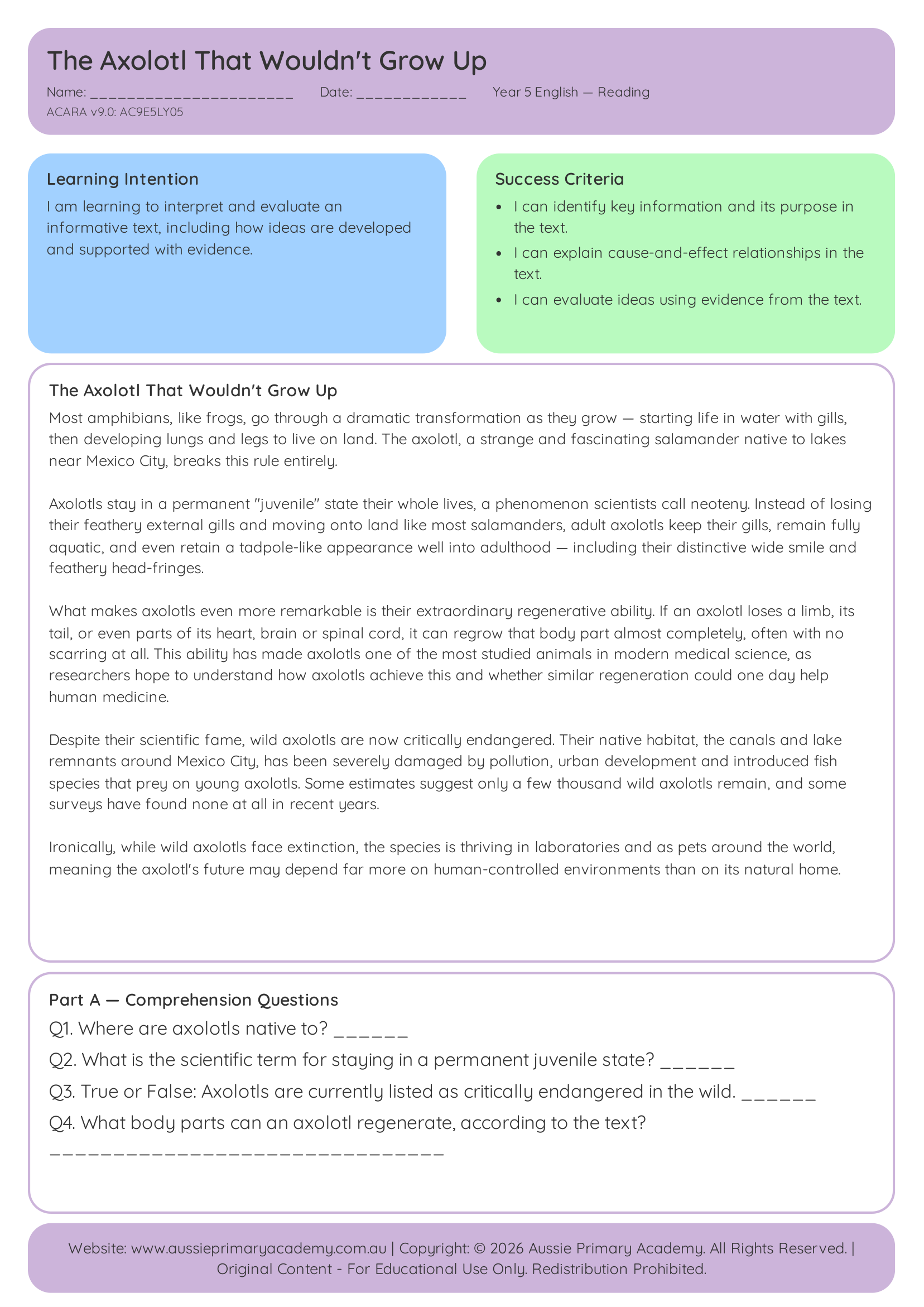 The Axolotl That Wouldn't Grow Up Year 5 English worksheet preview